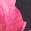 Yarra Chiffon Floral Midi Dress, , swatch